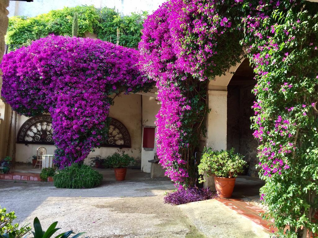 Apartaments Can Gibert Castello  D'Empuries Exterior foto
